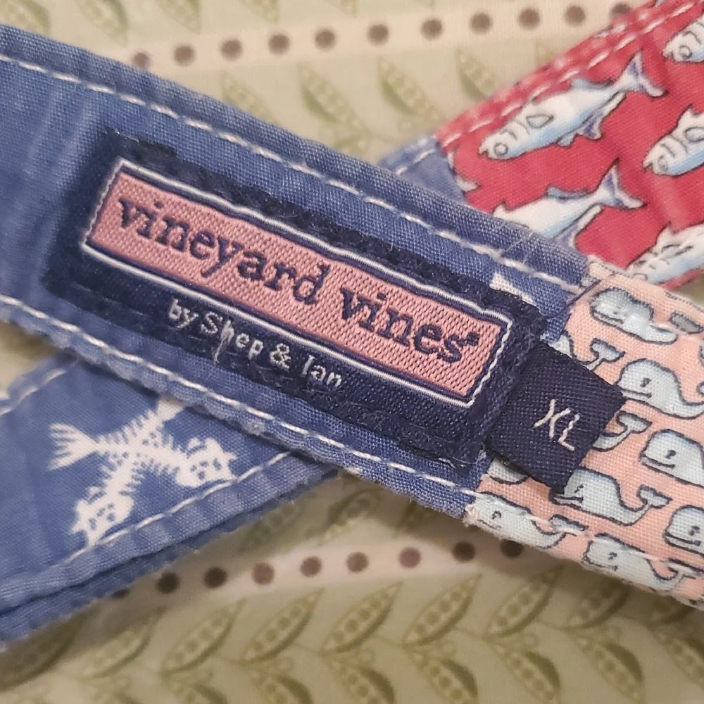 Belt Vineyard Vines‎ Kid - Blue and Cream